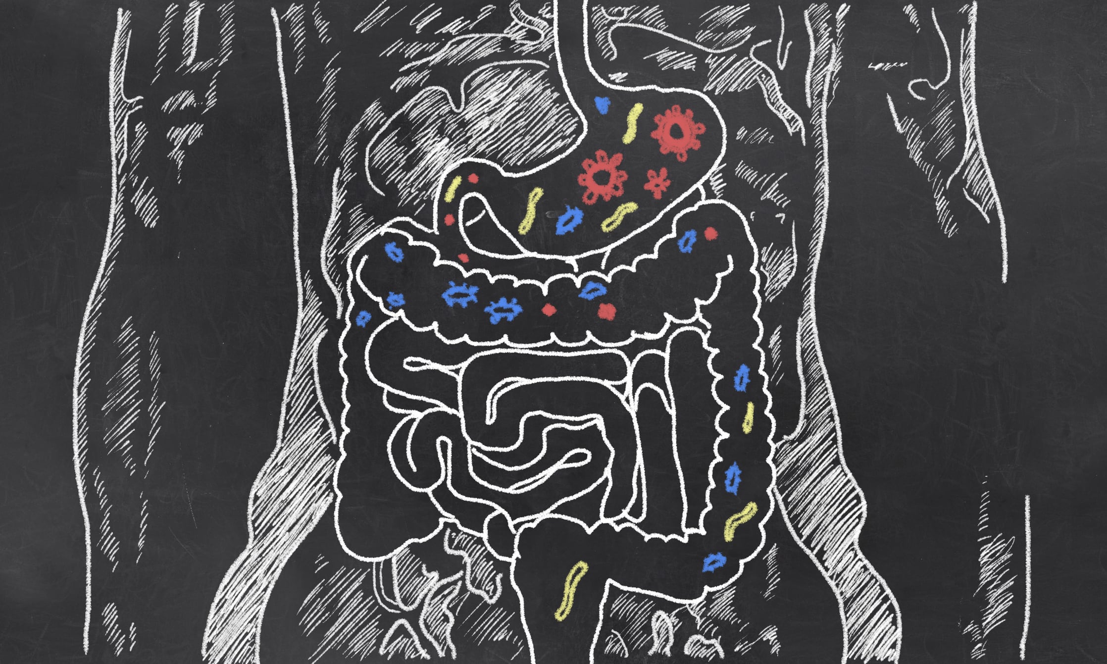 Study-links-microbiome-diversity-to-active-vitamin-D-level.jpg