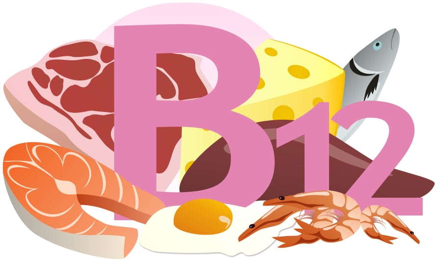 German-Nutrition-Society-advises-vegans-to-supplement-diet-with-vitamin-B12.jpg
