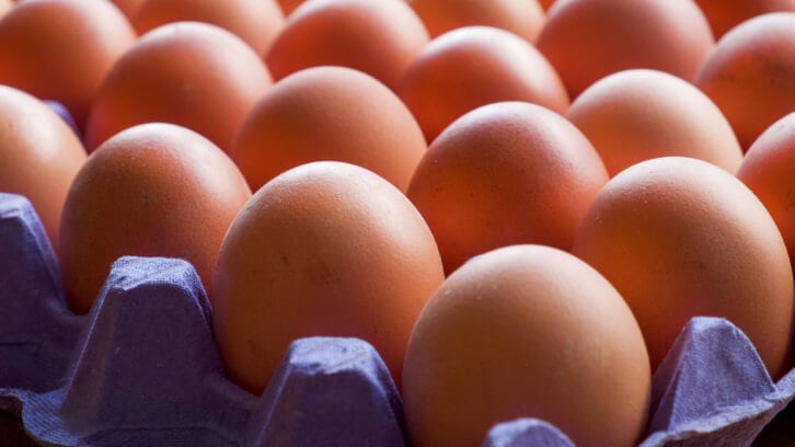 Cysteamine-supplements-increase-taurine-levels-in-egg-yolks.jpg