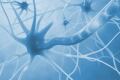 A nutraceutical solution to the opioid crisis?