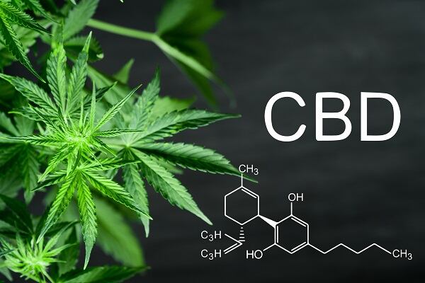 CBD-and-cosmetics-in-Austria-What-is-the-legislative-environment.jpg