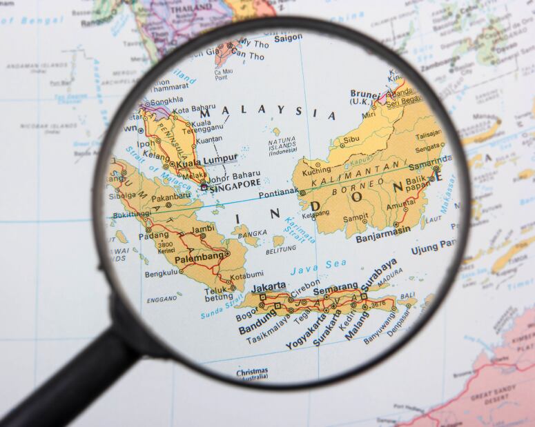 indonesia-malaysia-south-east-asia-palm.jpg