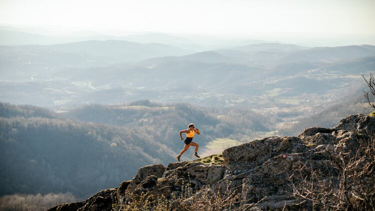 Coastal plant extract could improve physical performance and reduce fatigue, a study suggests