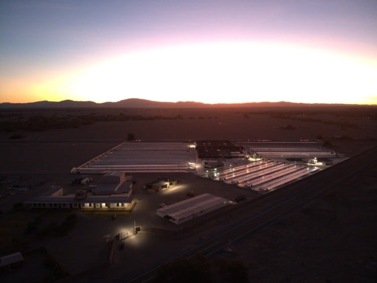 Astaxanthin expansion: Chile's Atacama Bio expands footprint in Asia with Malaysian and Singapore distribution