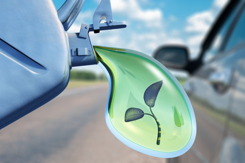 biofuel-plant-oil-palm-iStock.com-galdzer.jpg