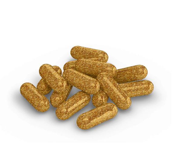 Multivitamin-glitter-3.jpg
