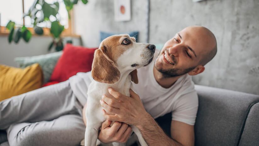 Can-a-peptide-induce-weight-loss-in-dogs.jpg