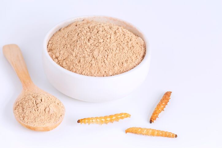 Proteine Resources receives €1.36 million investment for insect biotechnology