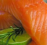 salmon.jpg