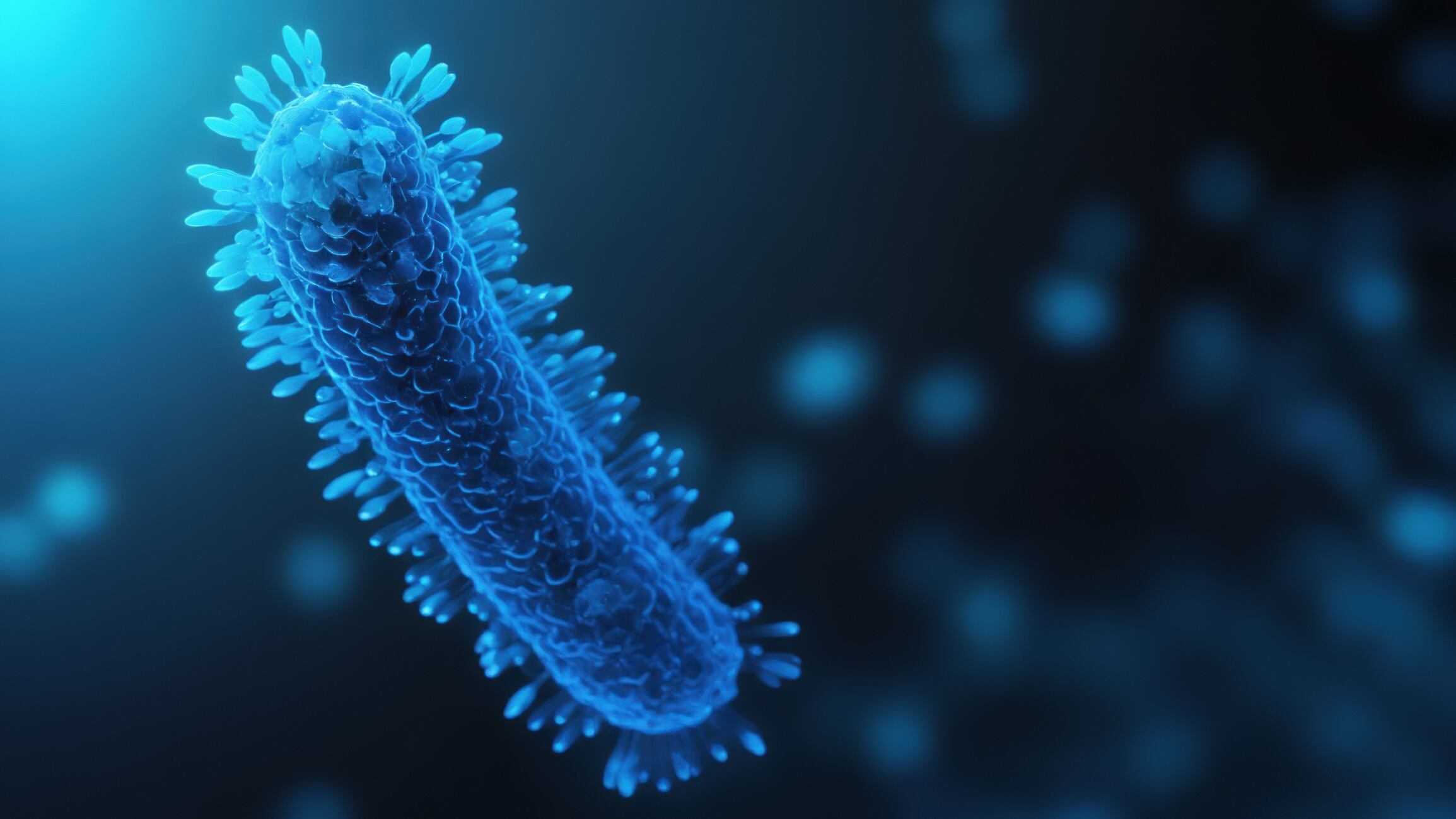 Gut bacteria: illustration of Lactobacillus Bulgaricus Bacteria, Microbacterium Tuberculosis Bacteria