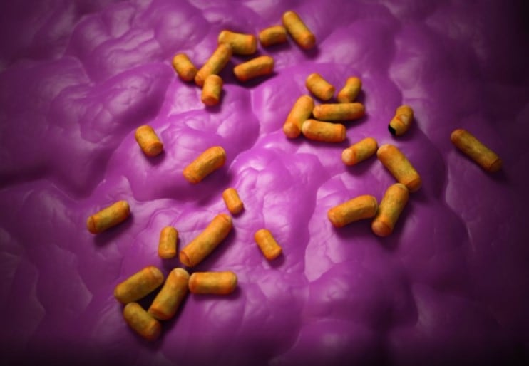 Greentech-adds-to-biotics-portfolio-with-Solactis-stake.jpg