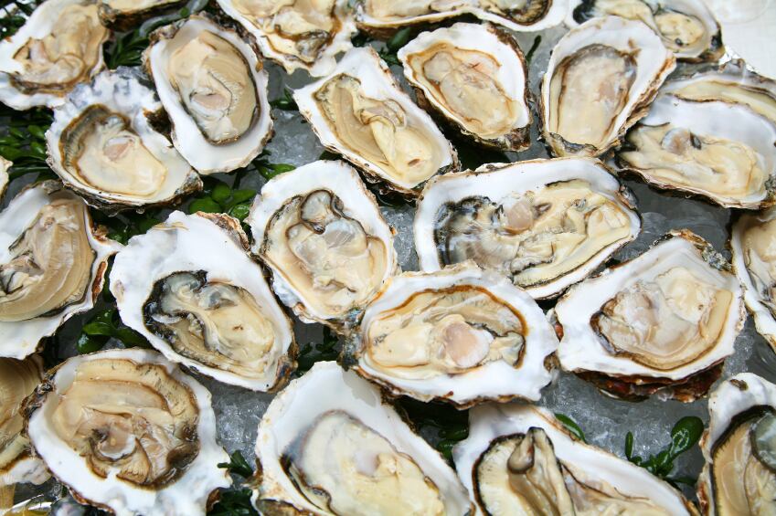 oyster-shellfish-seafood.jpg