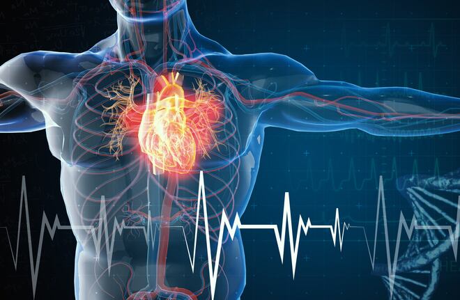 CoQ10 market seen as stable, but quality assurance, commitment to science can spur future growth