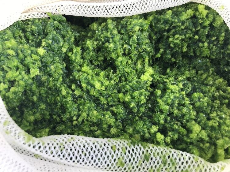 Making protein isolates from seaweed, not soy: ‘There is no reason to grow industrial ingredients on land’