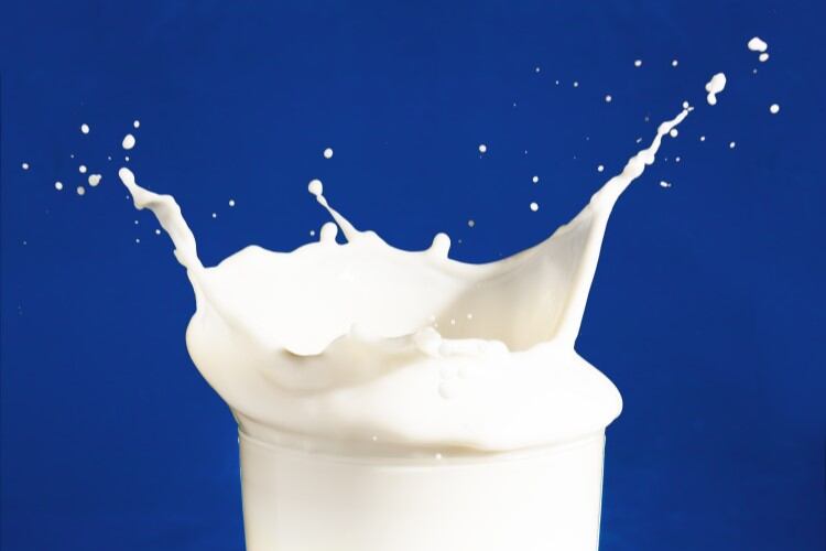 Free webinar: A look at dairy innovations, from precision fermentation to functional ingredients