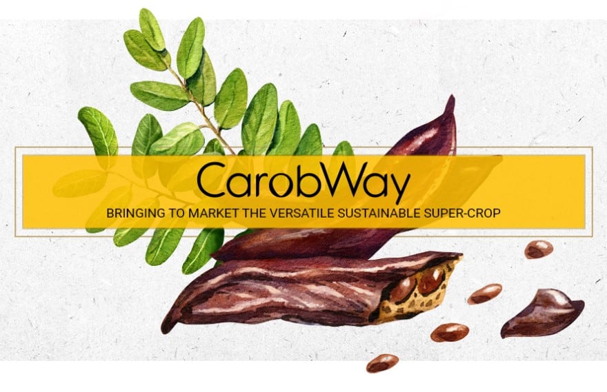 Carobway’s innovative agritech approach offers carob’s health benefits to industry 