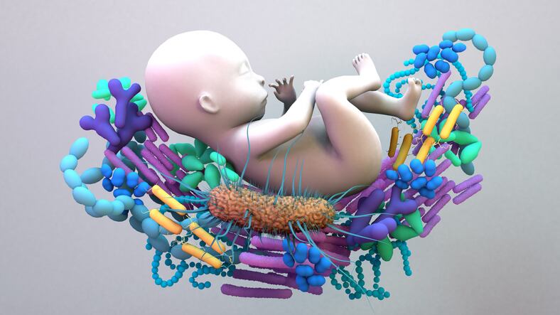 The-infant-mycobiota-Research-needed-to-understand-the-complex-ecosystem.jpg
