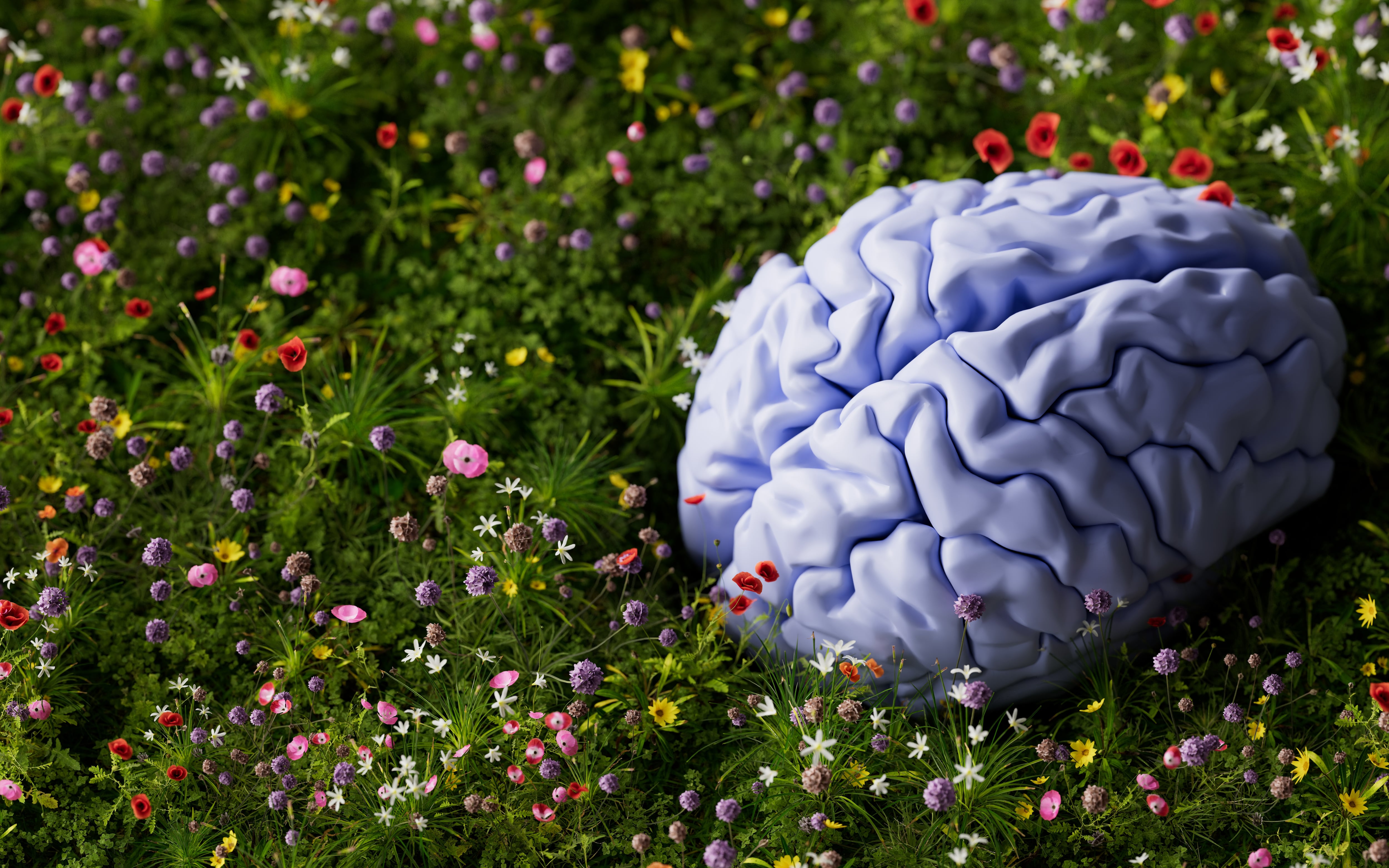 Catching up with mind health supplements: A round-up of the latest science