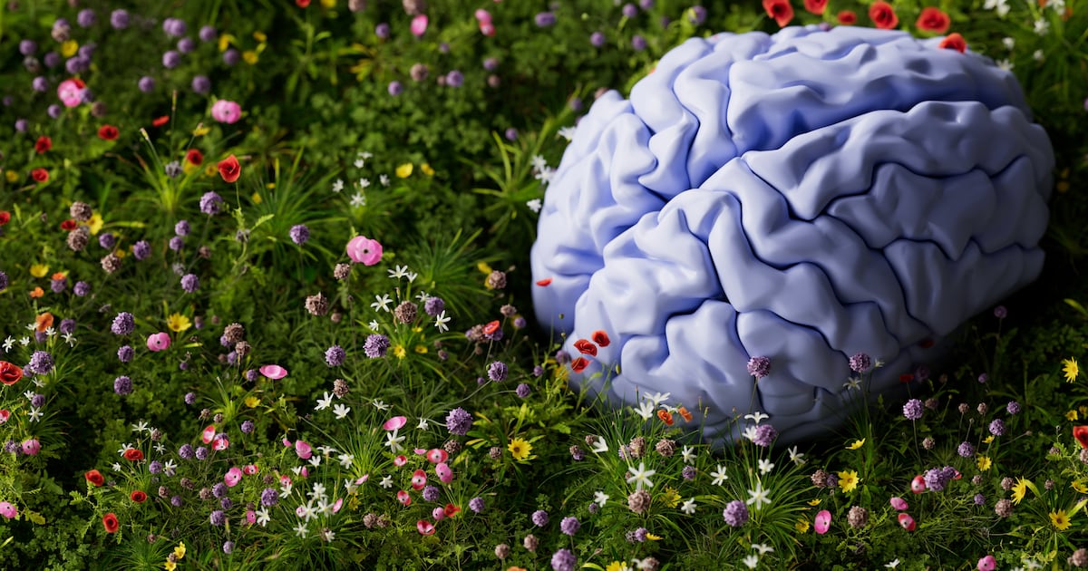 A round-up of the latest science A round-up of the latest science