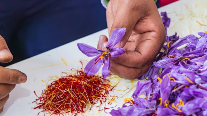 Ayana Bio partners with Wooree Green Science for plant cell-derived saffron