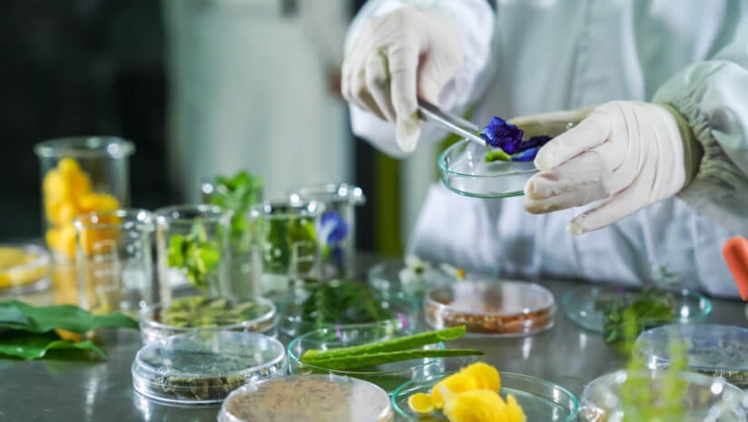 Founded in 2019, the Botanical Safety Consortium (BSC) was established as a public-private partnership to develop better tools for identifying and assessing potential risks from botanicals as complex mixtures.