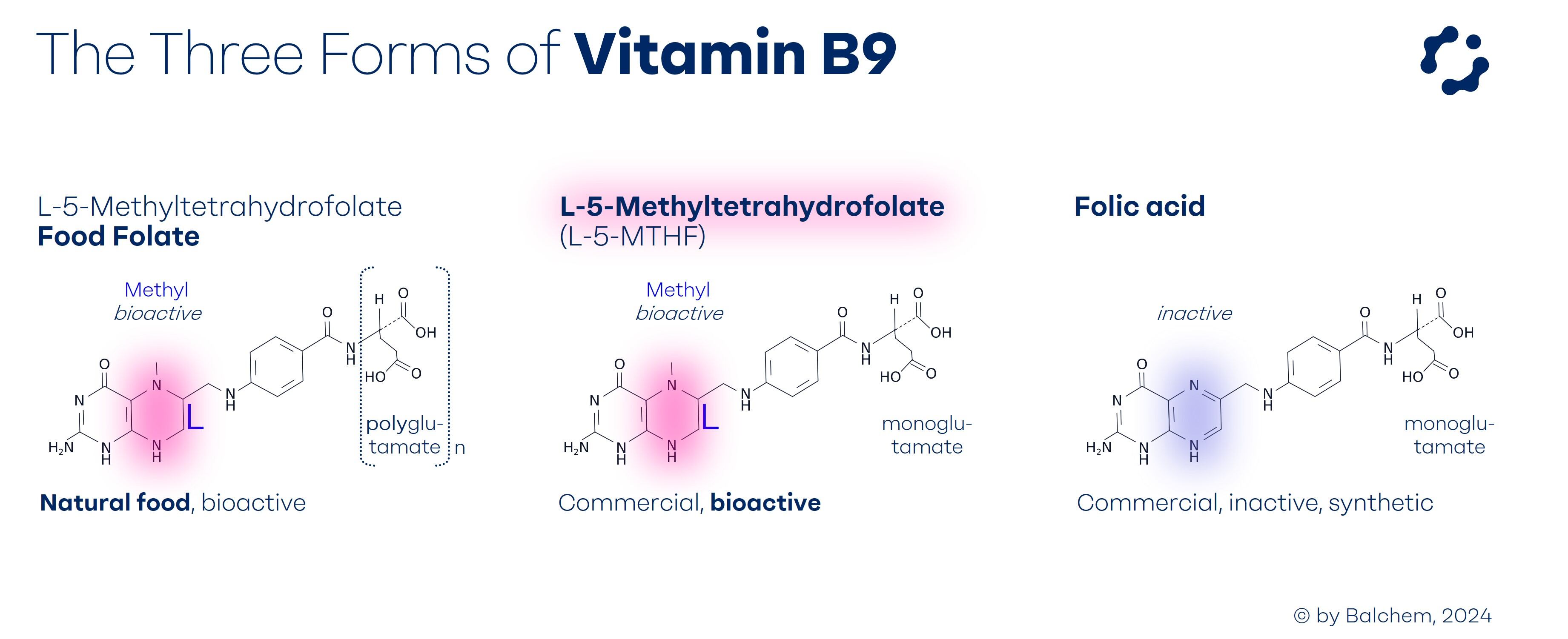 Image-3_HNH_M-N_Optifolin-_ShowpadVisual_ThreeFormsOfVitaminB9_240819.jpg