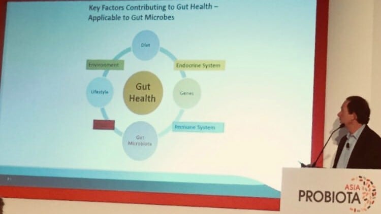 Resveratrol and propolis: Two promising targets to boost gut microbiota