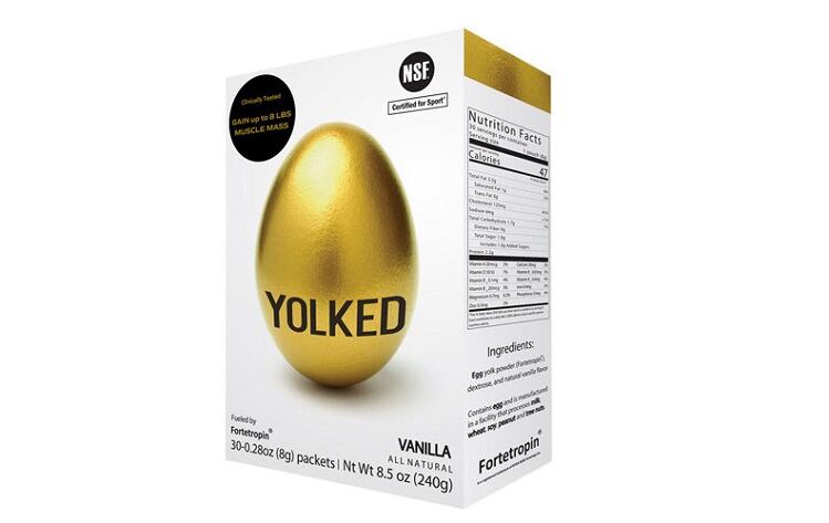 Yolked-Myos-Rens.jpg