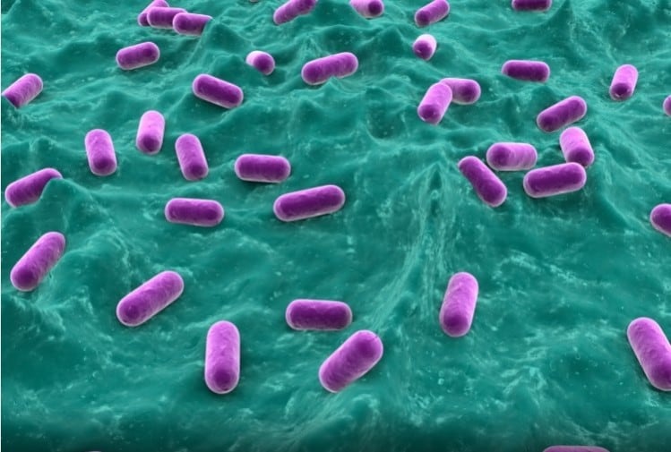 Indonesian researchers identify effective probiotic regimens for bacterial vaginosis treatment