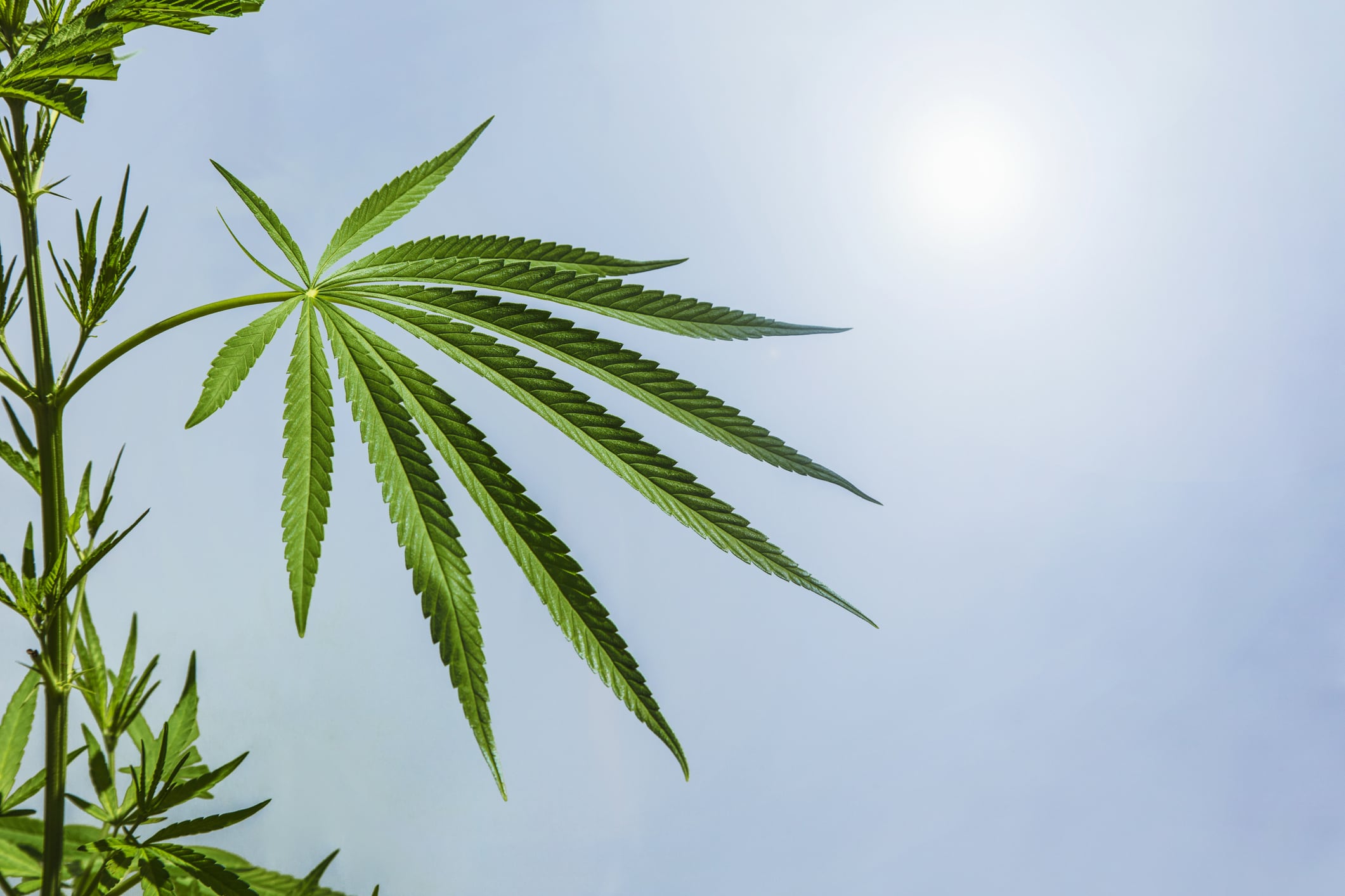 "Although not an easy or simple task, this time should be used to fix the underlying statutory language rather than simply extending the implementation date again....another delay just postpones the uncertainty, and the industry needs a clear, workable standard that businesses can understand and consistently comply with," said Rend Al-Mondhiry, partner & co-chair of the regulatory group at Amin Wasserman Gurnani LLP.