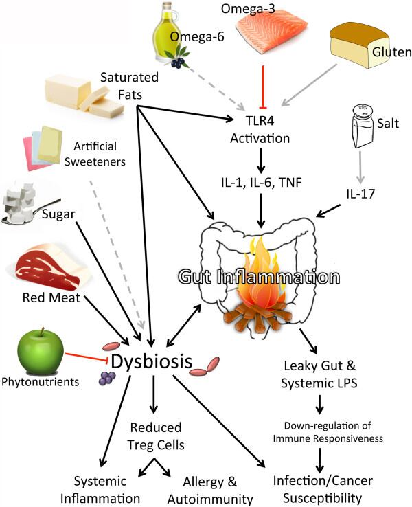 diet-inflammation.jpg