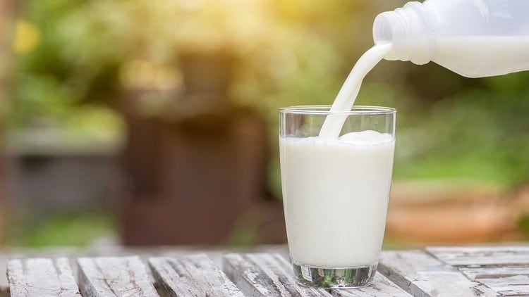 China milk momentum: Growth in awareness attributed to public belief in immunity benefits