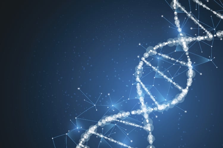 New Zealand tentatively reopens debate into dairy gene editing