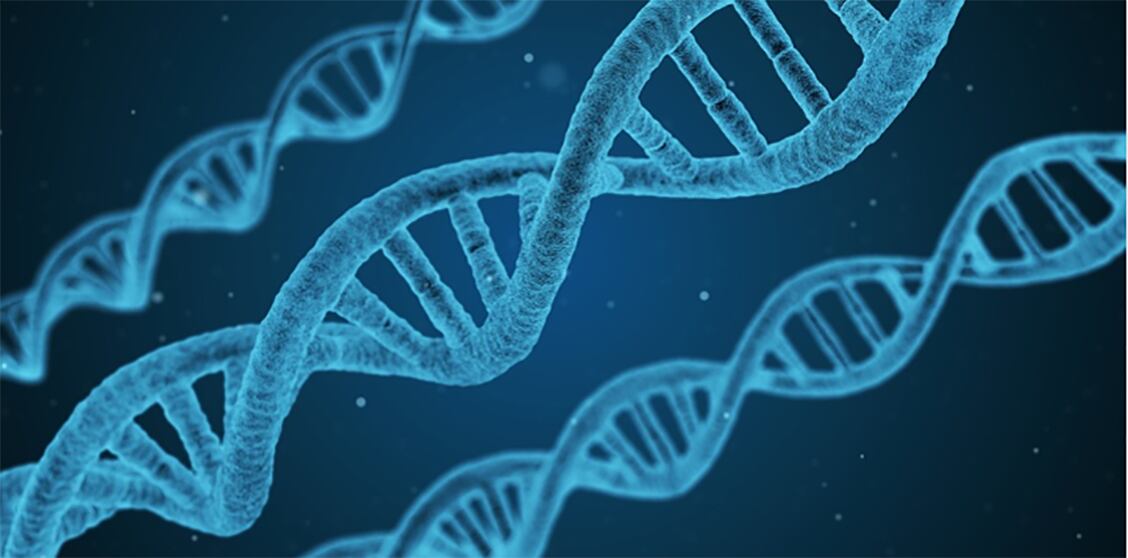 DuPont-enters-microbiome-metabolic-disease-collaboration.jpg