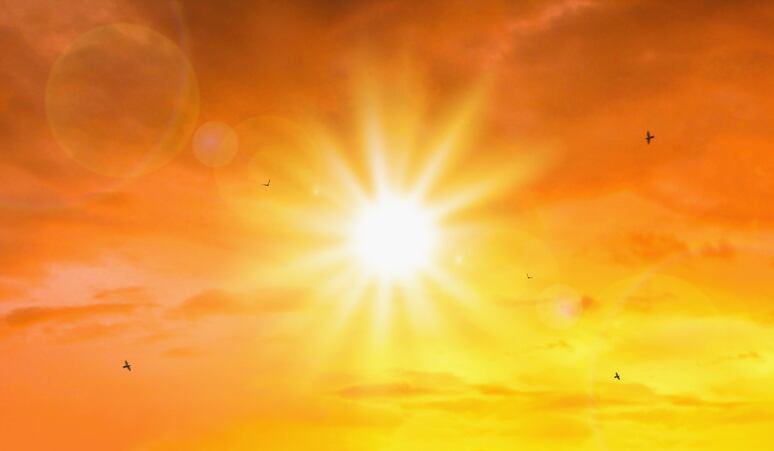 Sunlight exposure and its role in skin-gut axis 