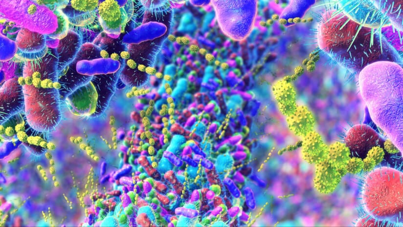 Dietitians strongly believe in probiotic & prebiotic benefits, says new survey, but need more guidance  