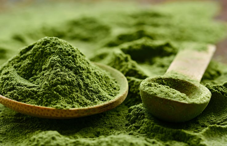 Study: Algae strain could help reduce IBS symptoms