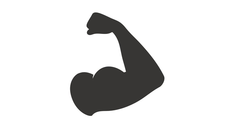 Muscle-building probiotics: Taiwan’s Synbiotech partners with Lonza for US and Europe entry