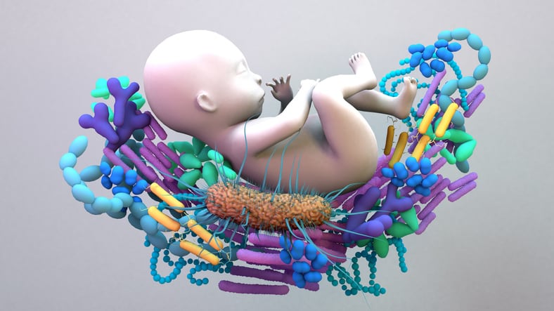 Study: U.S. babies lacking crucial gut bacteria