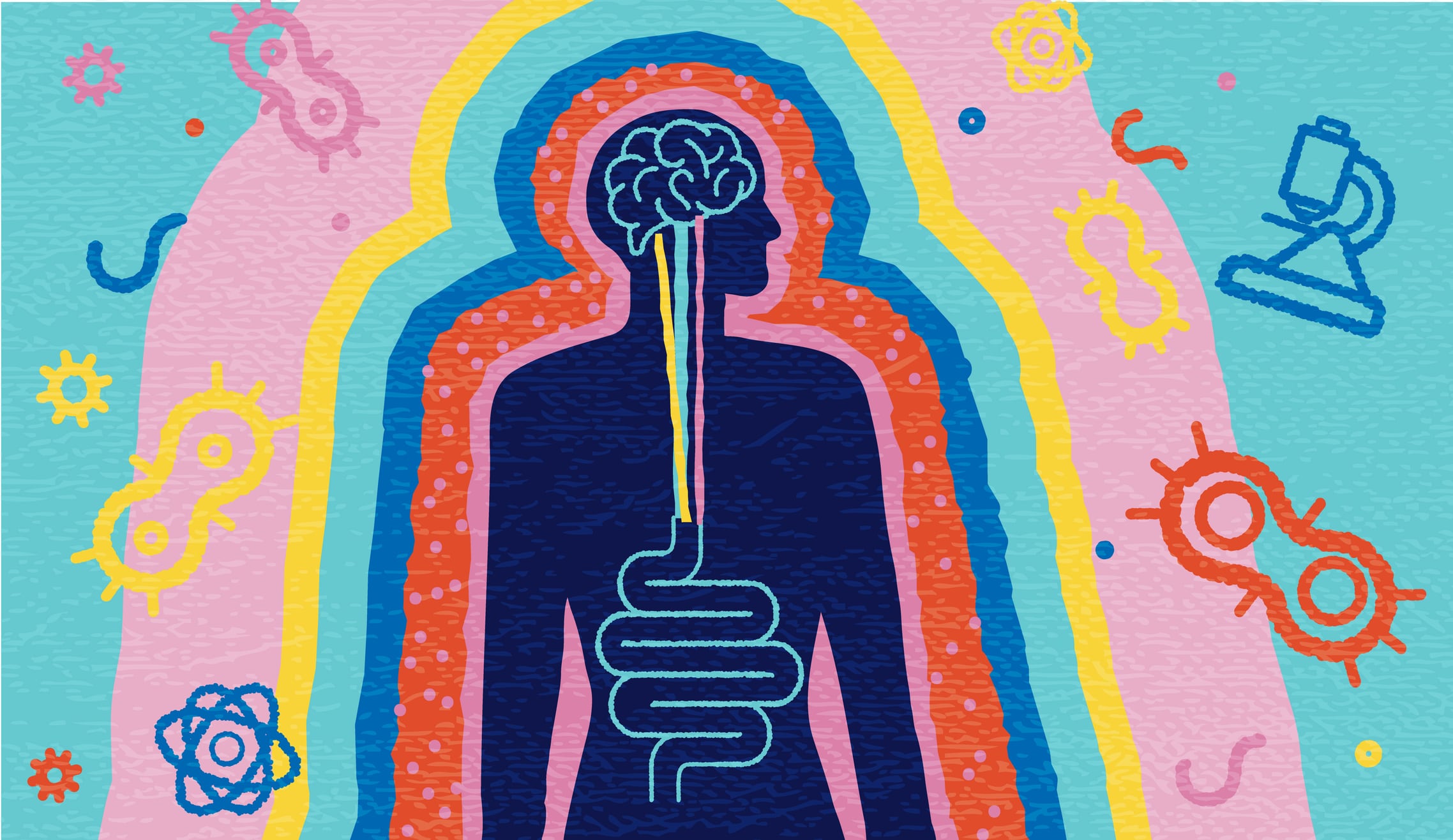 Moderate exercise may boost brain function via gut microbiota