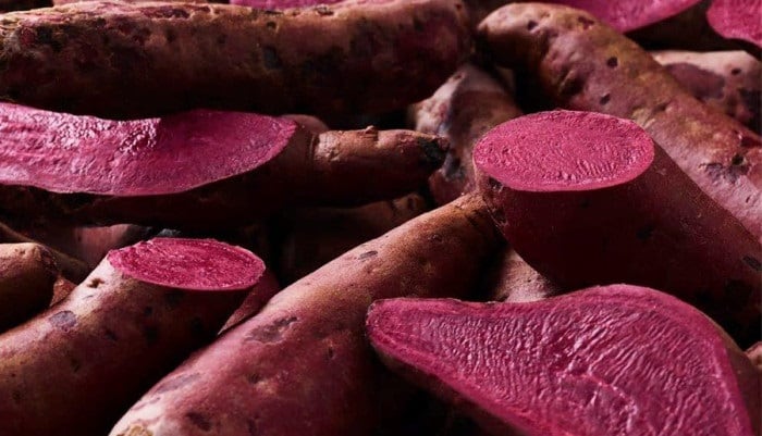 Introducing-the-Hansen-sweet-potato-the-secret-behind-the-markets-best-carmine-alternative_c2wt0wp9hmmtkmelixft.jpg