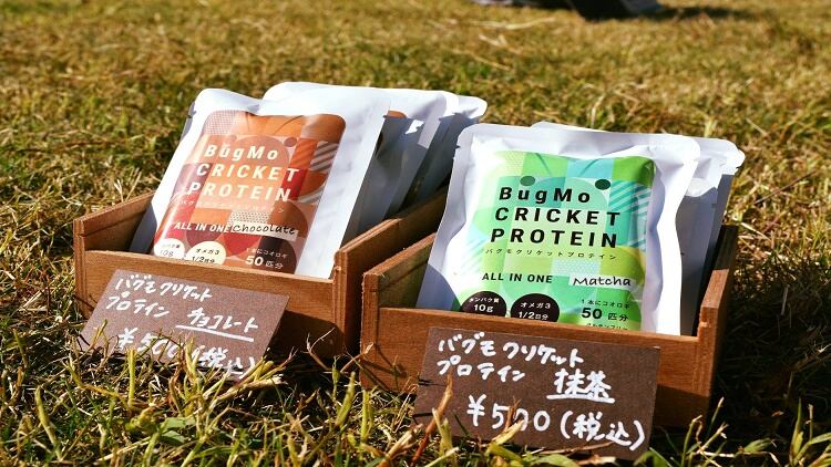 Gaining popularity: Japan start-up launches cricket bars as an alternative protein source  