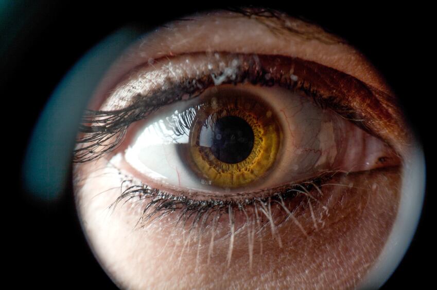 Eye-C-malivoja.jpg