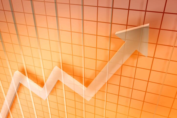 Cyanotech’s sales rise 11%; founder retires