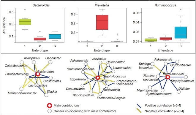 Gut-types.jpg