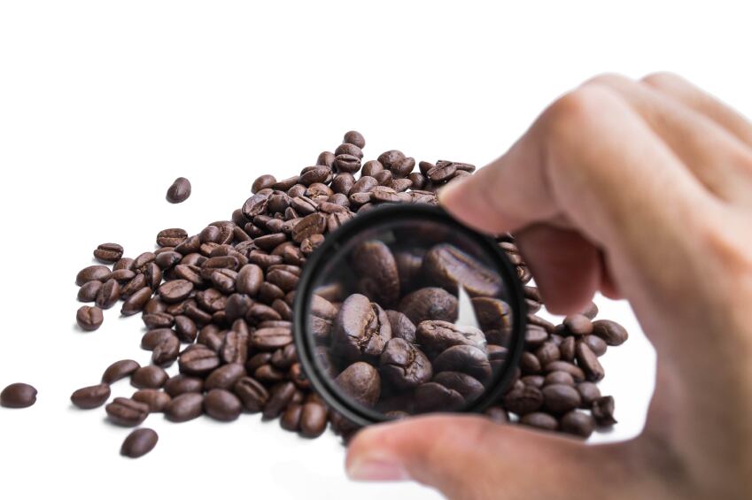 Toilet talk: How coffee keeps us going