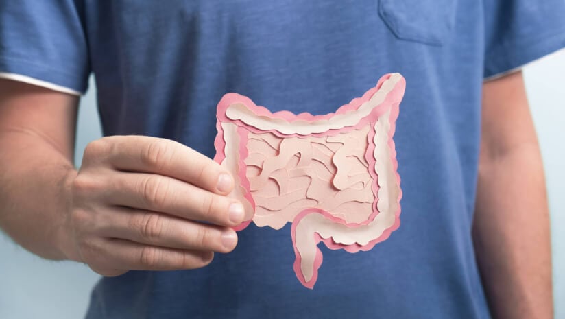 Five strains probiotics improves constipation - CKD Healthcare-funded study