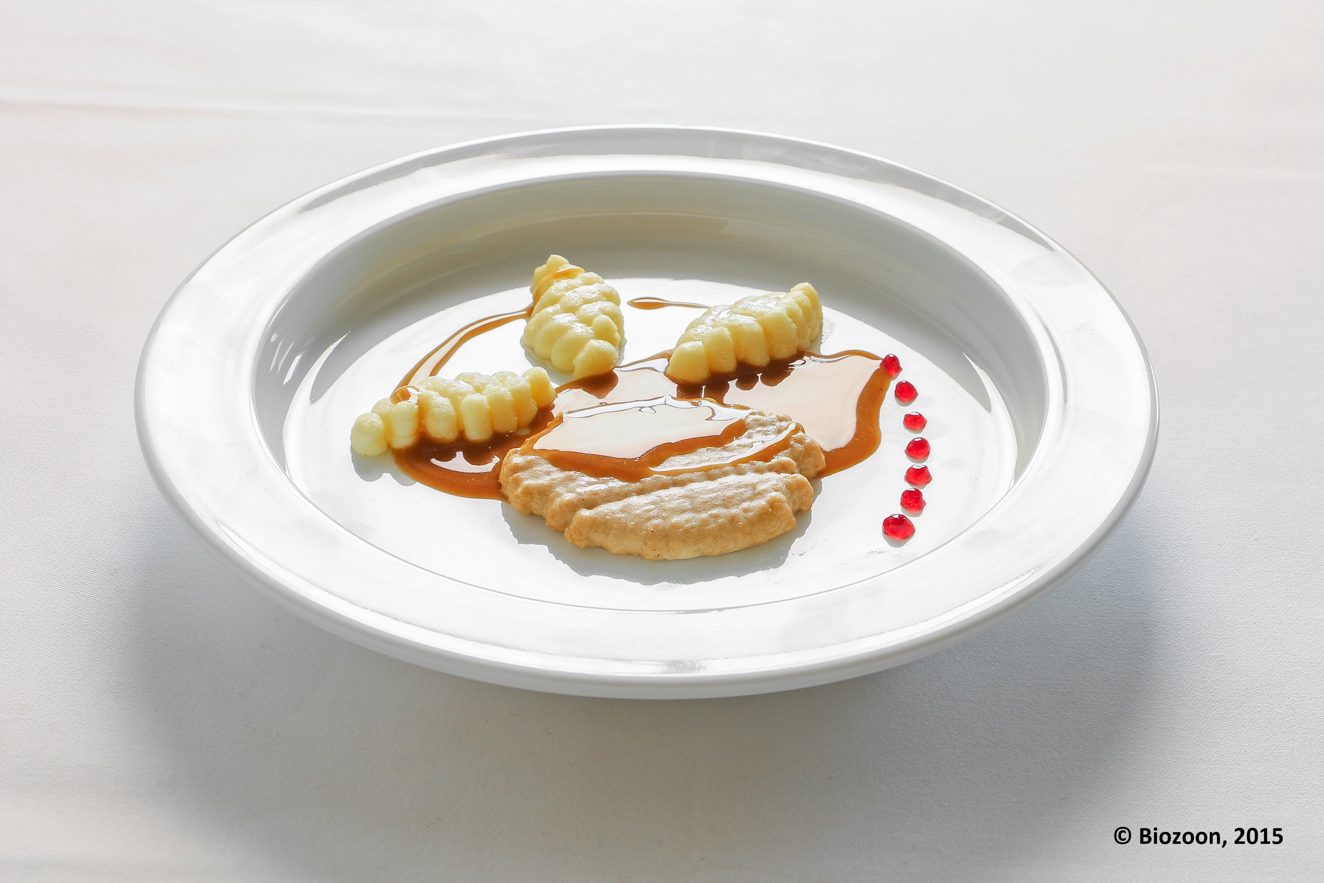 Meat-with-Gnocci-Biozoon-2015-2.jpg