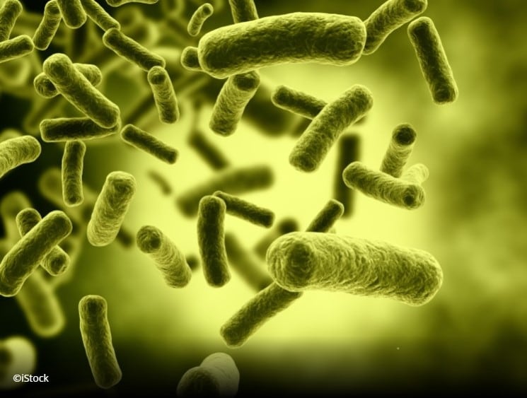 Faecal microbiota transplants shown to benefit C. diff patients