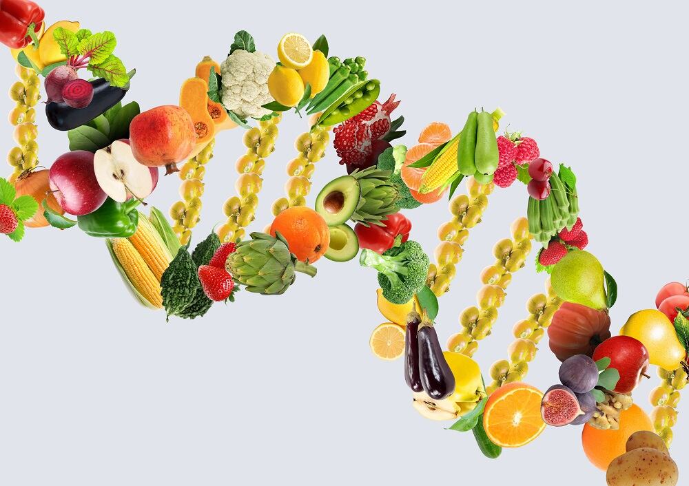 'A leap forward': ANA proposes definition for Personalized Nutrition